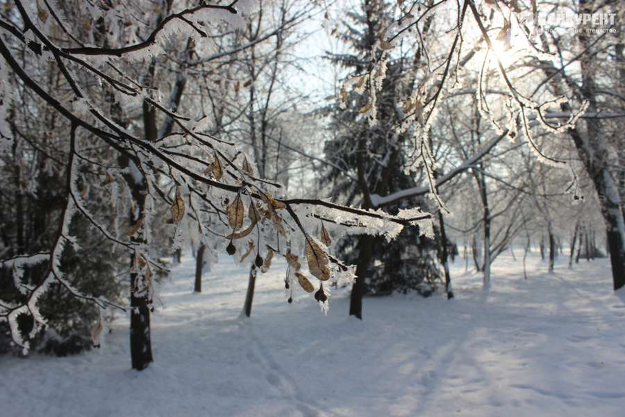 Потепліє: погода в Луцьку на вівторок, 2 лютого