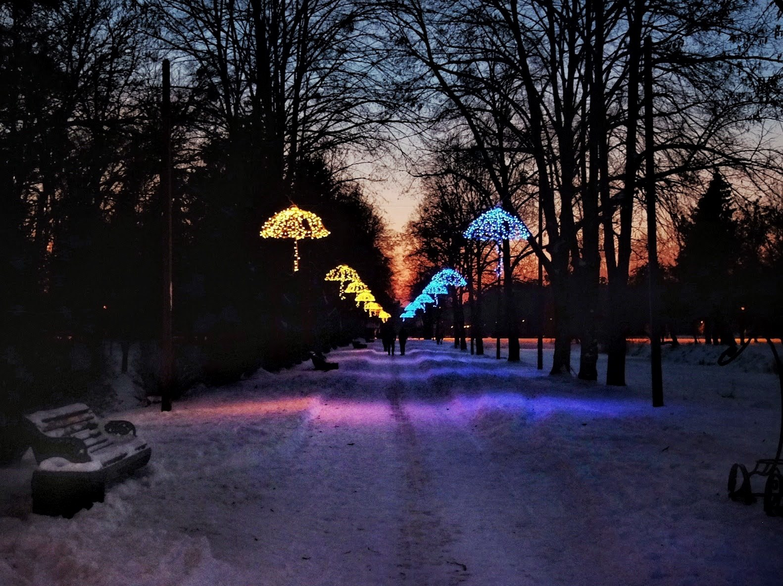 Як виглядає Центральний парк Луцька у зимових сутінках (фото)