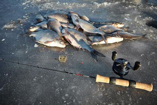 На озері Люцимер відбудуться змагання з підлідної ловлі риби