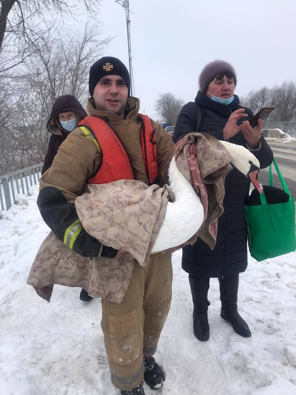 У Ковелі рятували лебедя, що замерзав посеред річки