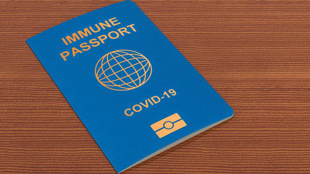 ЄС може запустити COVID-паспорти до літа