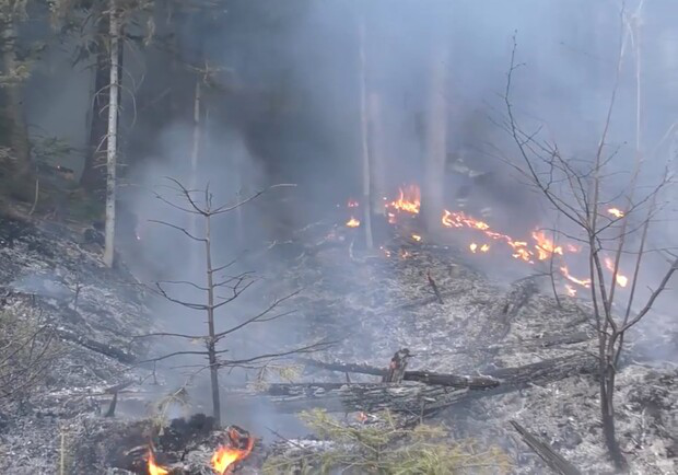 Волинські лісівники готуються до сезону пожеж