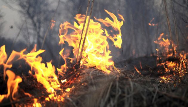 На Волині організують цілодобовий моніторинг пожеж в екосистемах