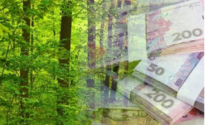 Завдяки лісовим ресурсам Волині до бюджетів сплатили понад  35 мільйонів гривень