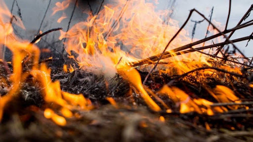 Які штрафи «світять» волинянам за пожежі в екосистемах