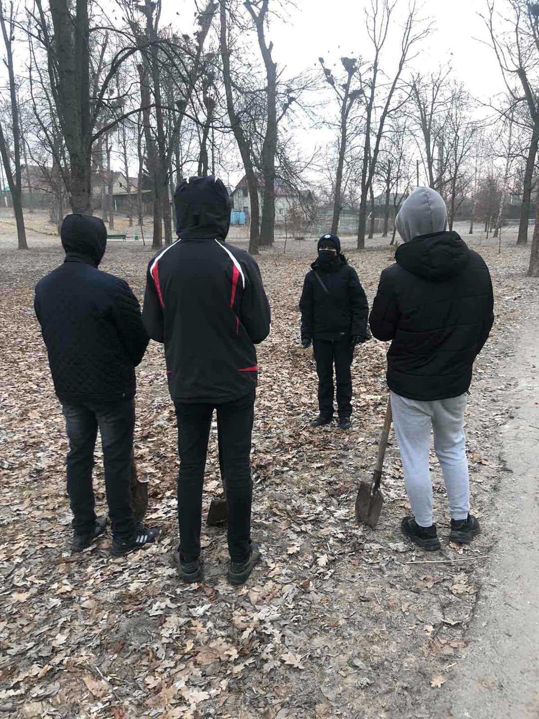 У Нововолинську молодиків, які знищили сосну в парку, змусили посадити 15 таких самих