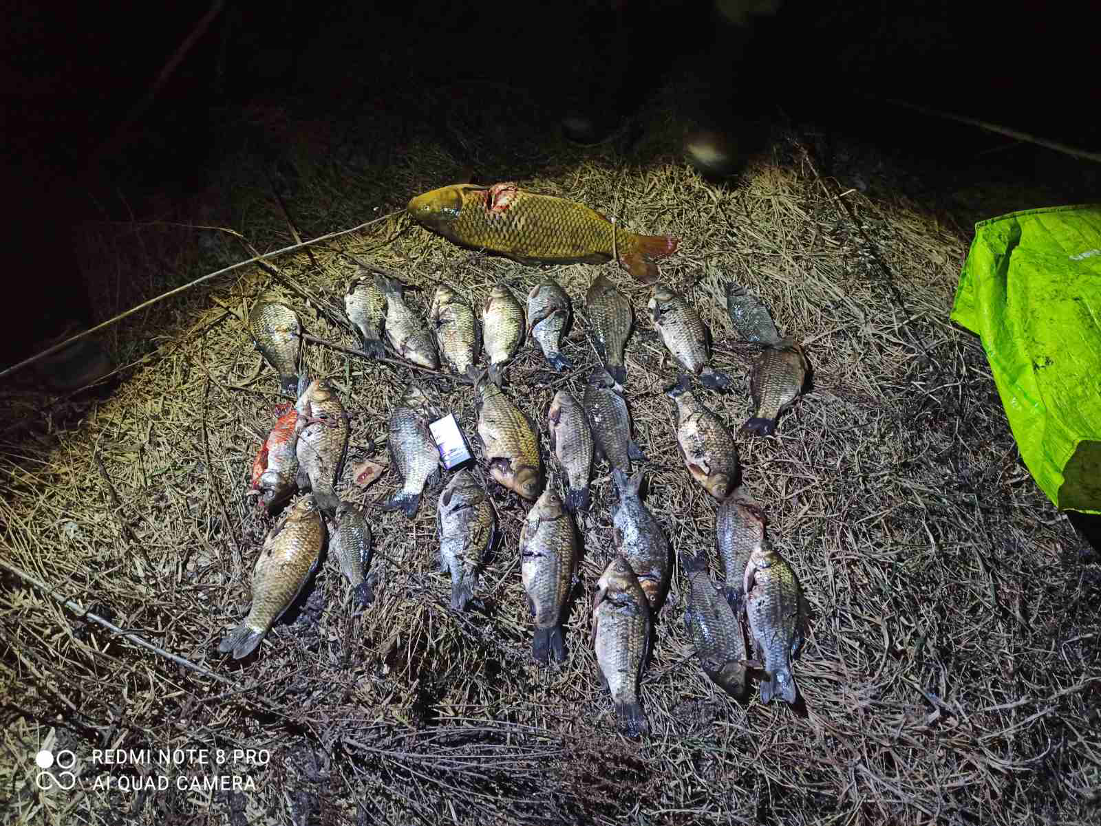 Біля Луцька риболова покарали за зайві кілограми риби