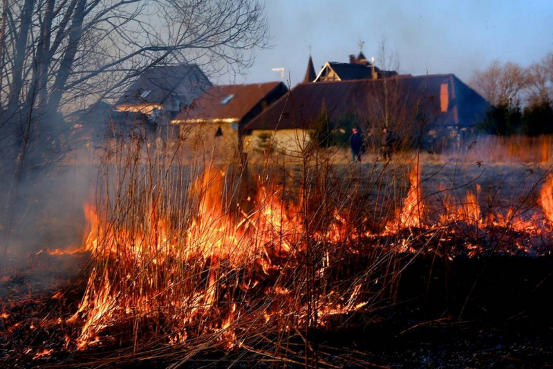 Троє жителів Житомирщини отримали опіки через спалювання трави
