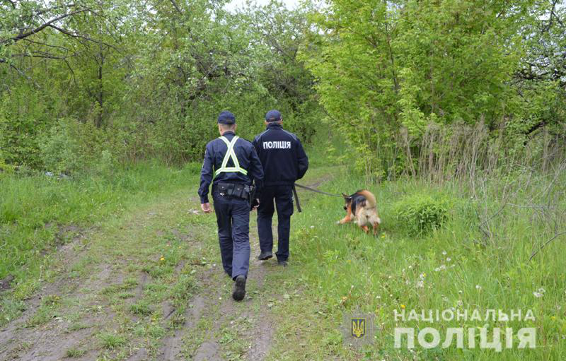 У Княгининку поліцейські з собаками шукають наркотики (фото)