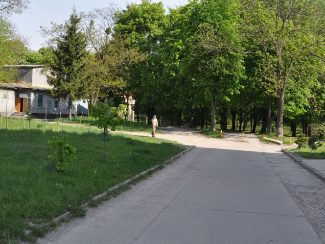 Чоловіка, якого знайшли біля школи в Володимирі, вбили: деталі