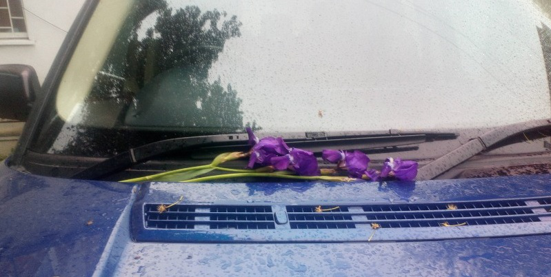 «Як на могилку»: у Луцьку авто паркохама «прикрасили» квітами (фото)