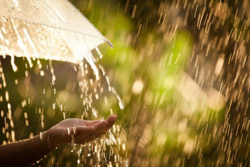 Дощ у спеку: погода в Луцьку на неділю, 20 червня