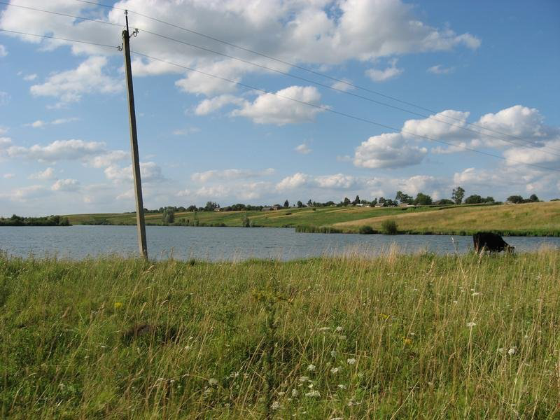 Громаді біля Луцька повернули 235 гектарів землі і водосховище