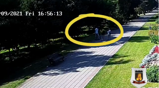Похизувався: у центральному парку Луцька хлопець пошкодив клумбу (відео)