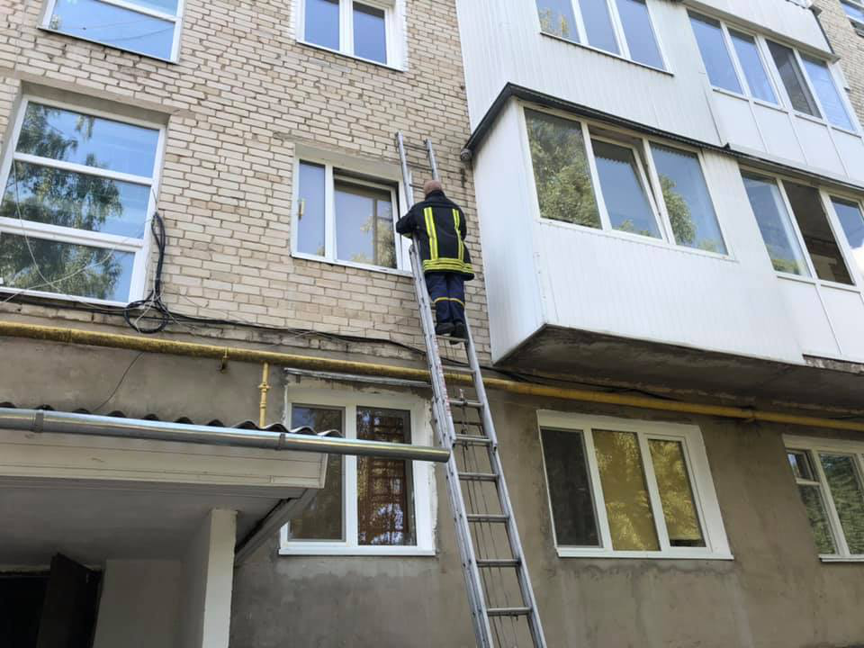 У Володимирі на стіні 5-поверхівки оселився рій бджіл (фото)