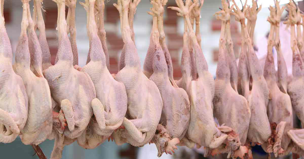 Ліберія відкрила ринок для українського м’яса птиці