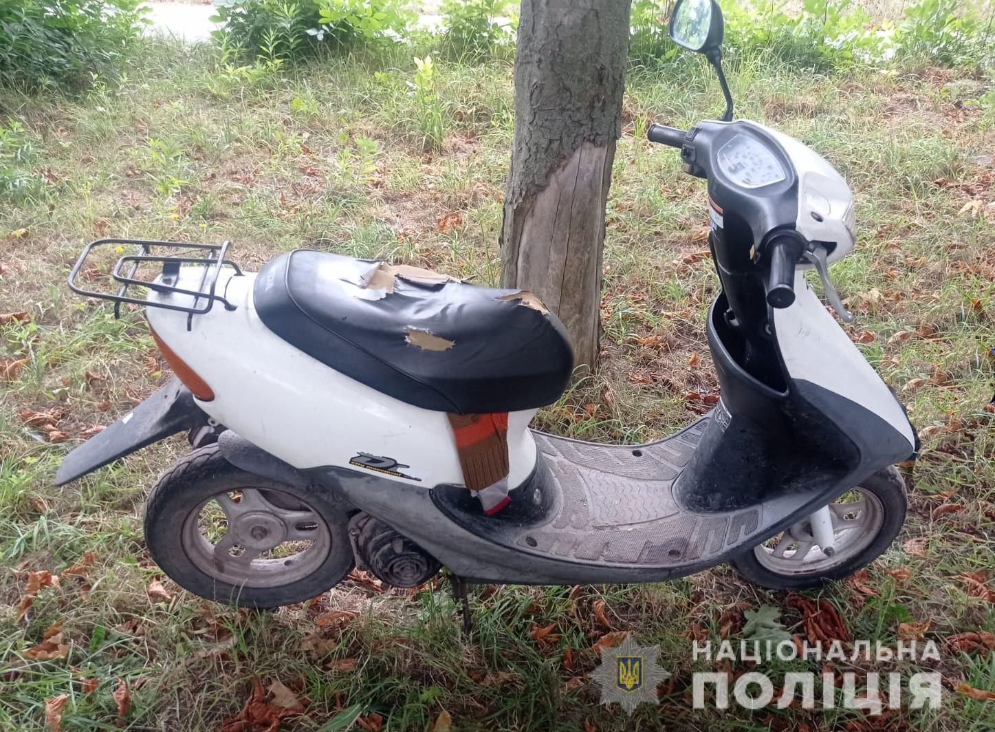 У Володимир-Волинському районі діти вкрали скутер у пенсіонера (фото)