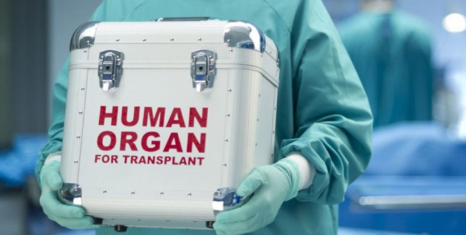 Уряд дозволив робити операції з пересадки органів у луцькій лікарні (відео)