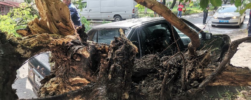 Негода у Луцьку: на припарковане авто впало дерево (відео)