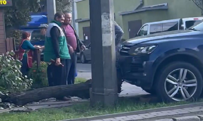 У Луцьку на Ковельській Touareg зламав дерево на тротуарі (відео)