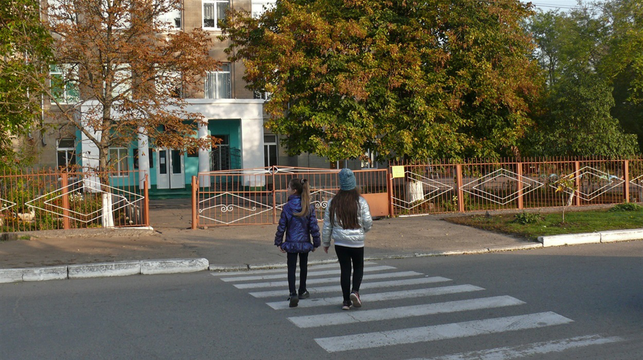 Світлофори, знаки, розмітка: на Волині перевірили дороги біля шкіл