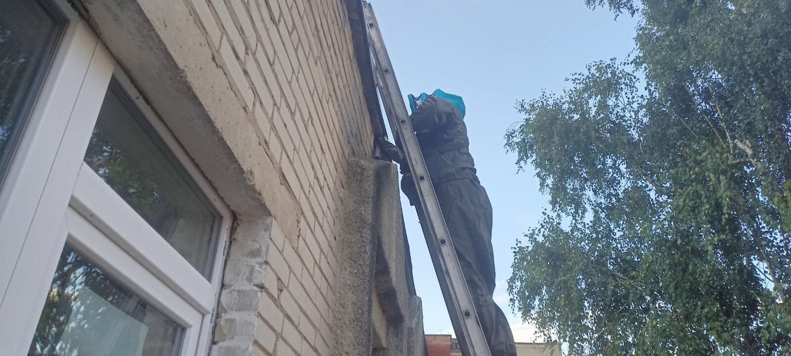 У дитсадку в Нововолинську знешкодили гніздо шершнів (фото)