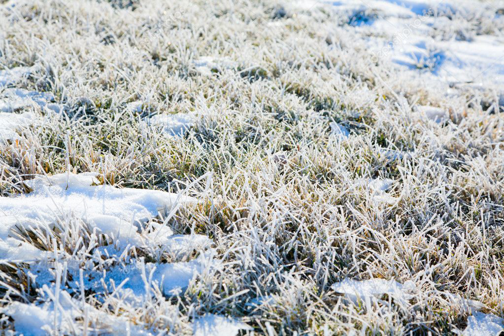 Гідрометцентр напрогнозував волинянам перші осінні заморозки
