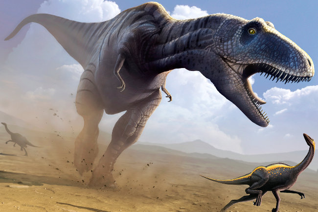 Змії вижили після удару астероїда, який знищив динозаврів