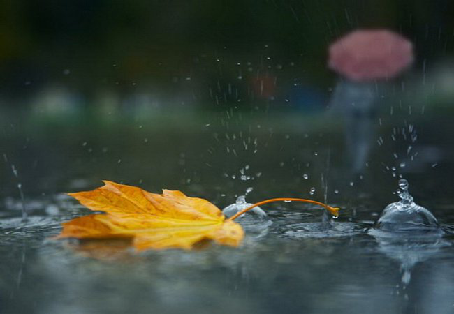 Бац – і осінь: погода в Луцьку на суботу, 18 вересня
