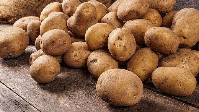 Україна стала найбільшим постачальником картоплі в Білорусь