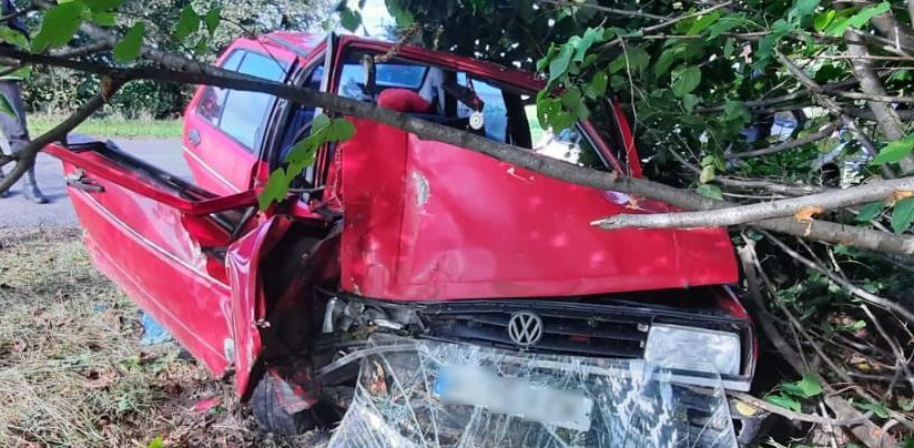 У Луцькому районі Volkswagen протаранив дерево – постраждала пасажирка (фото)