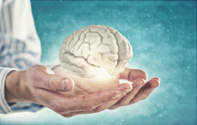 Вчені пояснили чому зменшився мозок сучасної людини