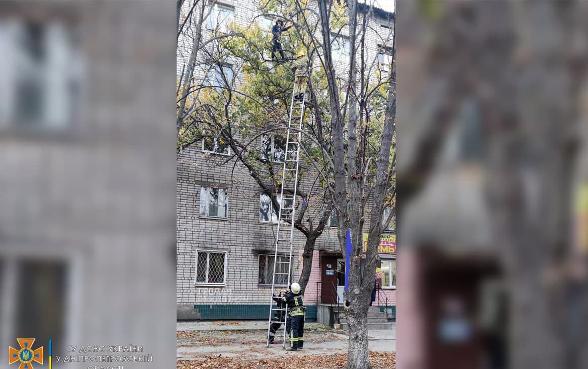 Дніпровські рятувальники зняли з дерева вагітну жінку, яка не могла пояснити, як там опинилася