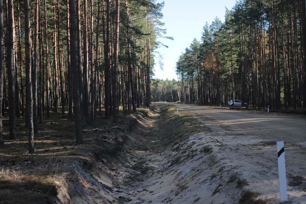 Показали, як на Волині будують лісові дороги (фото, відео)