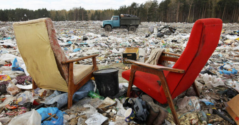 В Україні збитки від екологічних злочинів перевищують 400 млн гривень