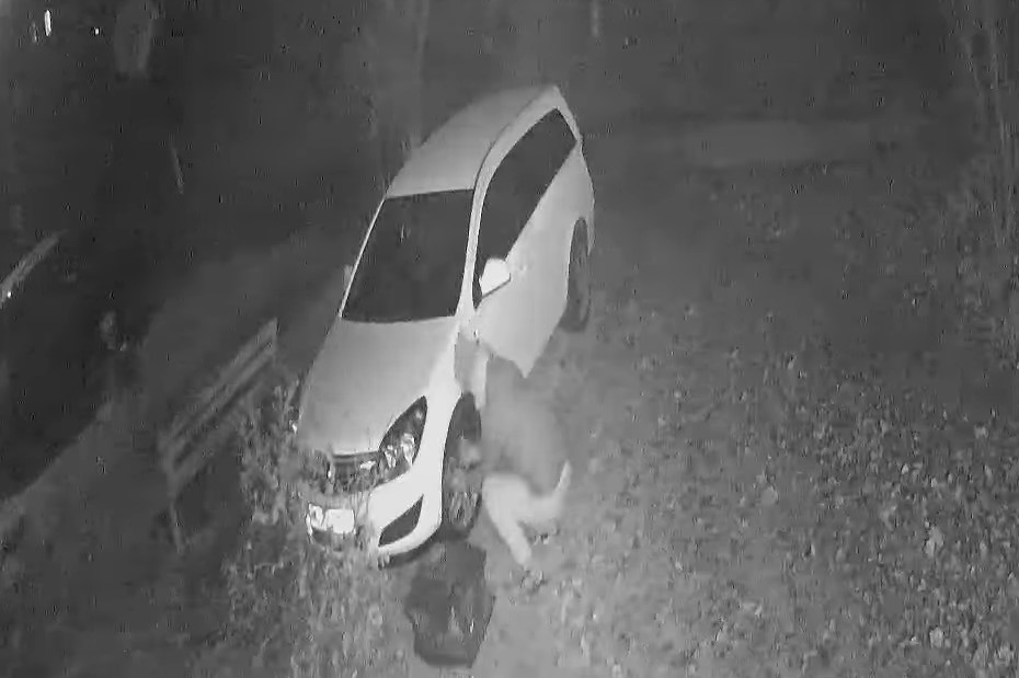 Луцький крадій автомобільних ковпаків потрапив на камеру спостереження (відео)