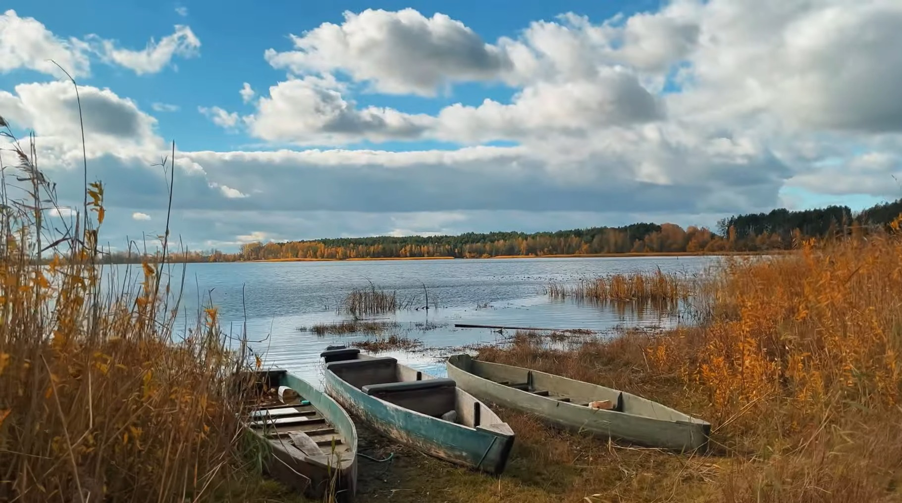 Віртуальна подорож Волинню: пейзажі, від яких перехоплює дух (відео)