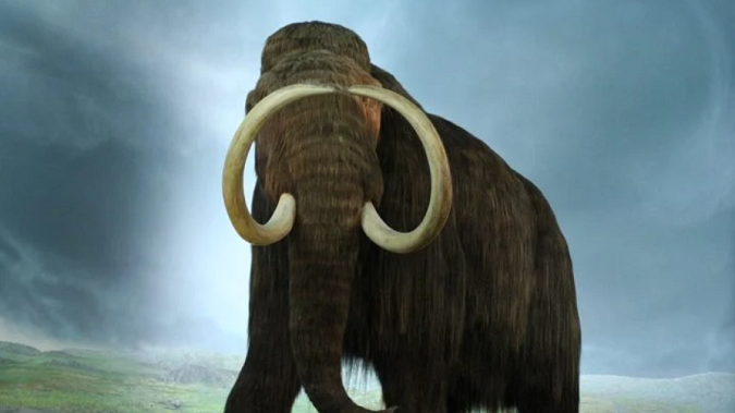 Чи винні люди у зникненні мамонтів в Євразії: розповіли дослідники