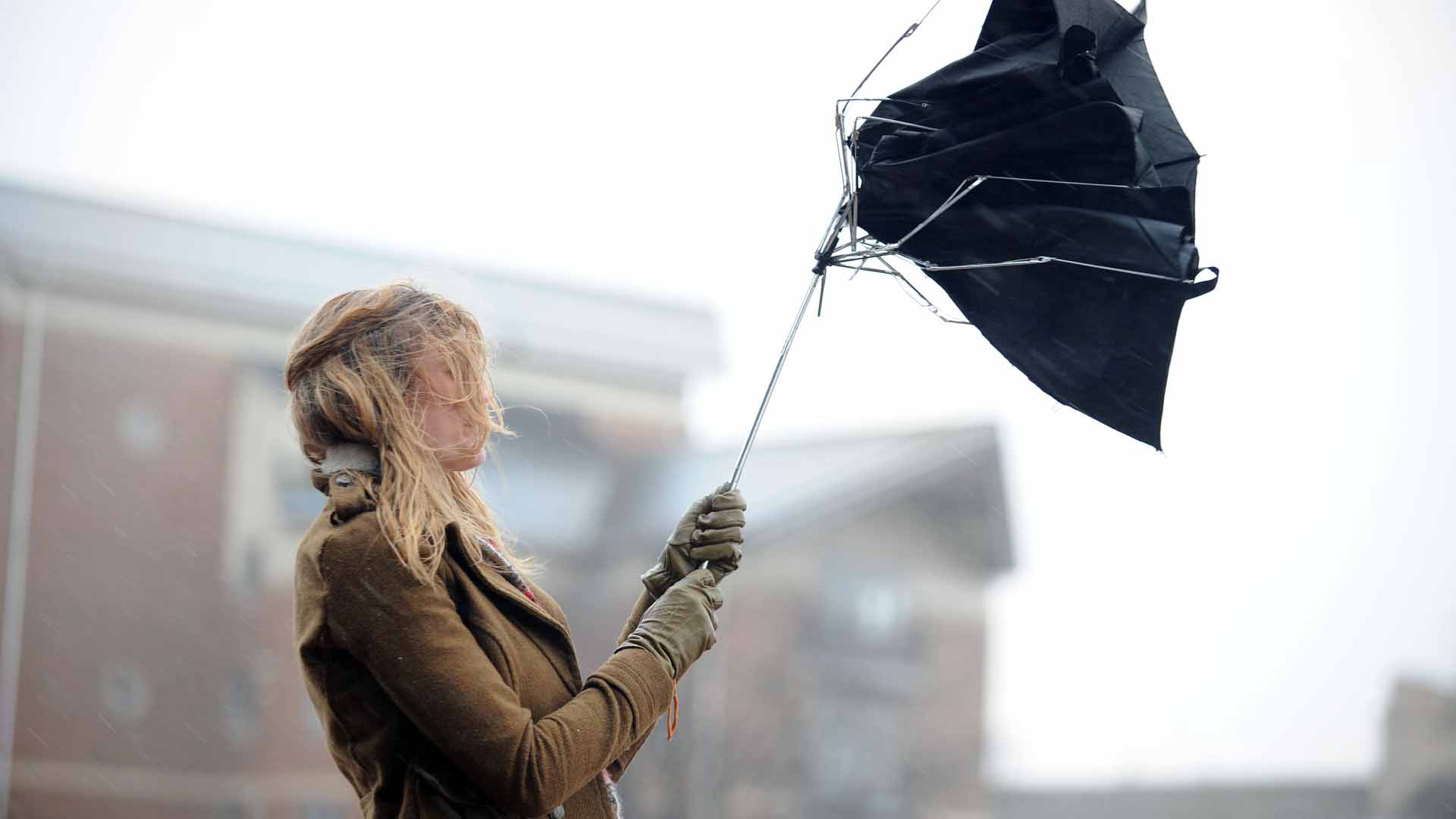 Сьогодні в Україні синоптики прогнозують дощі, мокрий сніг та сильний вітер
