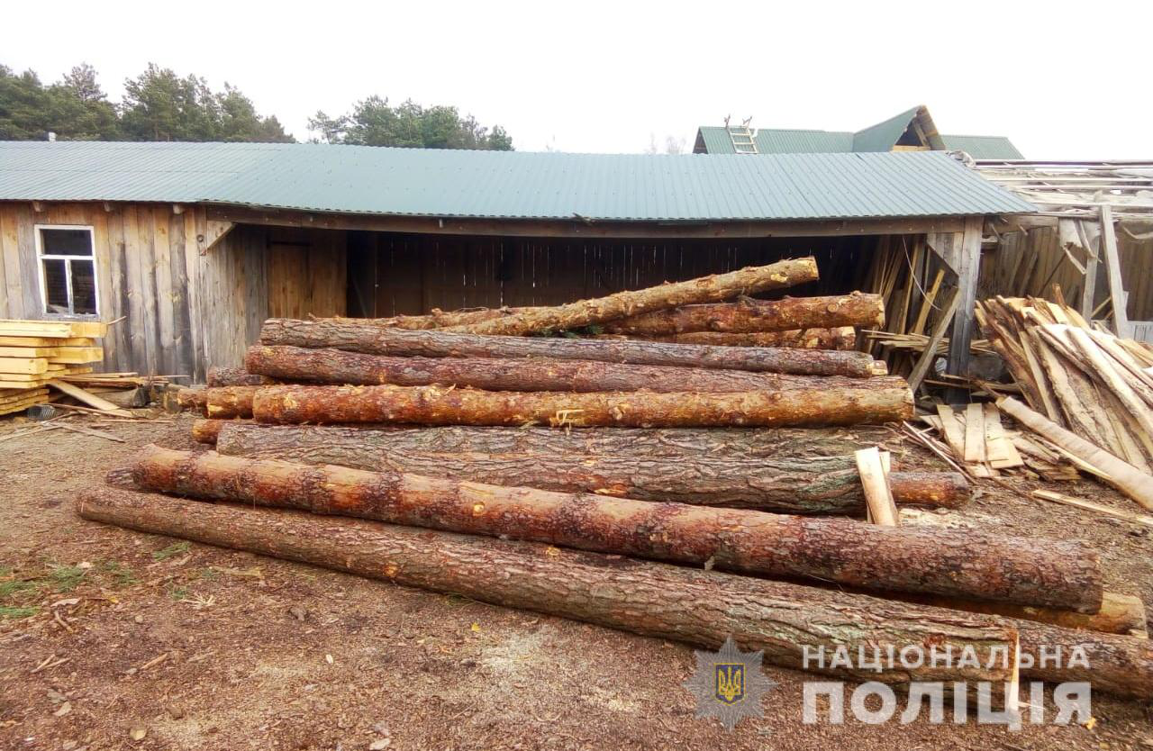 На приватній пилорамі на Шаччині знайшли соснові колоди без документів (фото, відео)