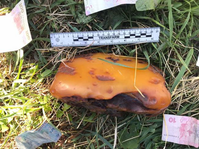 На Волині знайшли шматок бурштину рекордного розміру (фото)