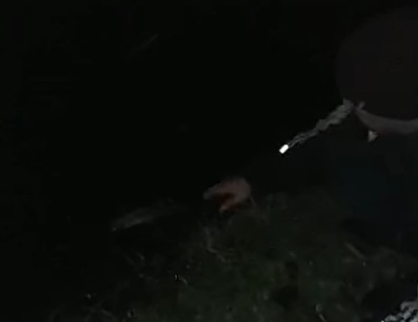 У центральному парку Луцька чоловік уночі ловив рибу (відео)