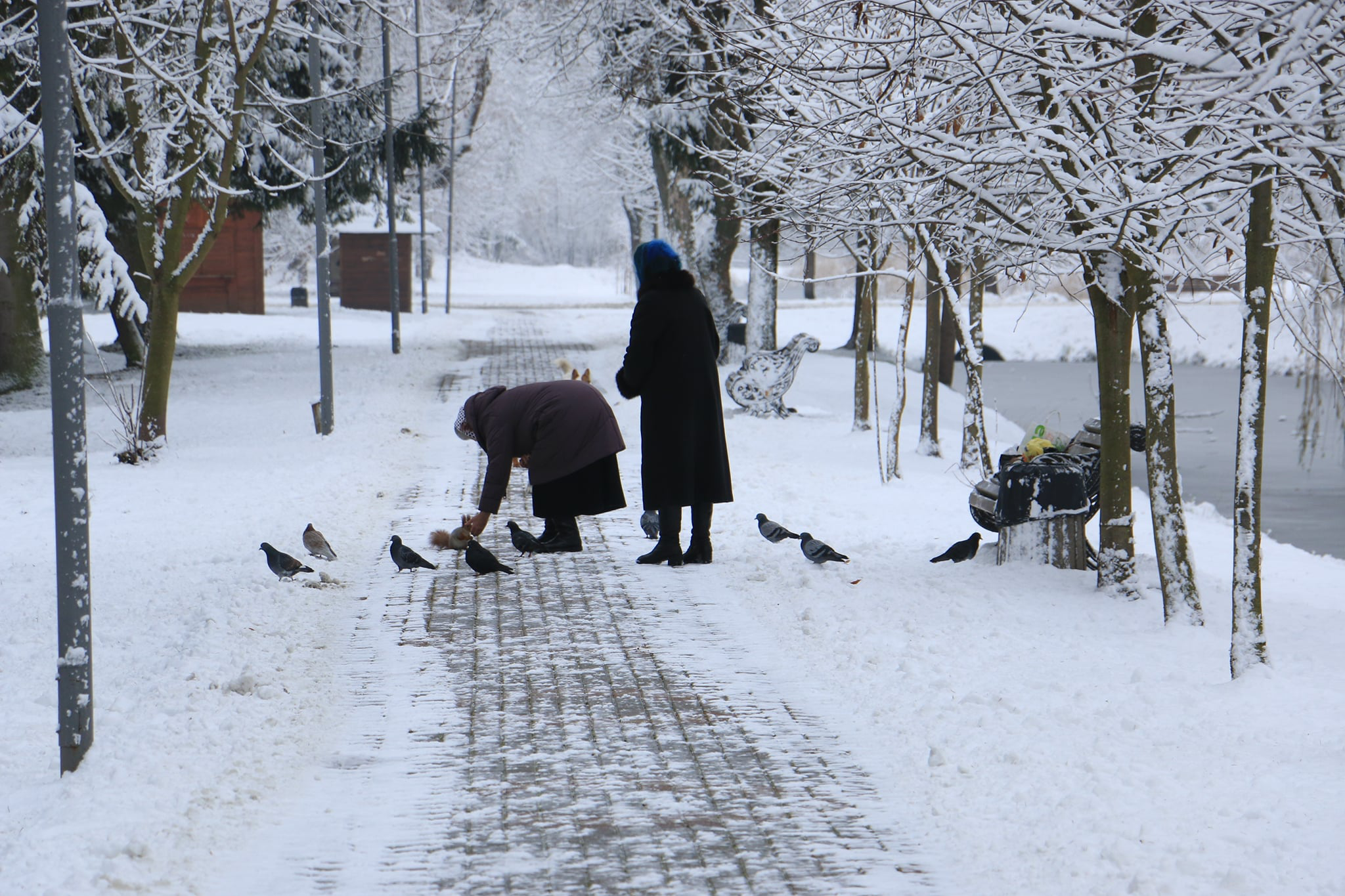 Трохи поморозить: погода в Луцьку на четвер, 9 грудня