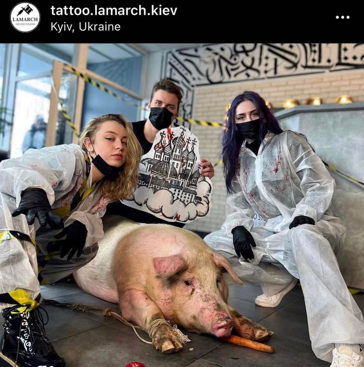 Зооскандал: працівники київського тату-салону хотіли набити куполи на свині (фото)