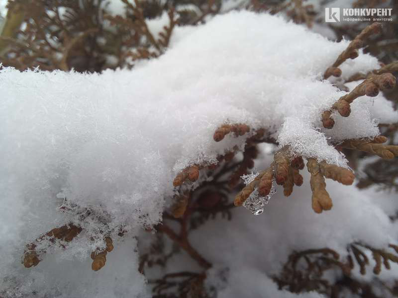 Трохи морозно: погода в Луцьку на вівторок, 14 грудня