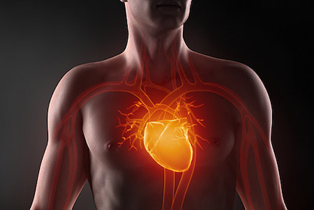 Лікують «миготливу аритмію»: львівські кардіохірурги вперше заморозили серце пацієнта