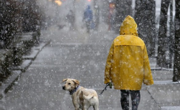 Дощ зі снігом: погода в Луцьку на п'ятницю, 17 грудня
