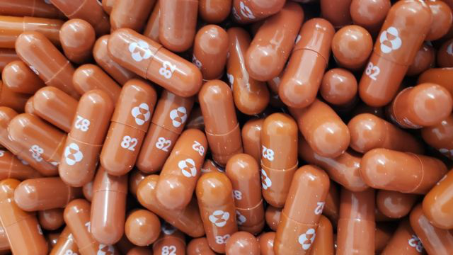 Україна закупить 300 тисяч курсів препарату «Молнупіравір» проти COVID-19