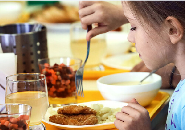У Підгайцівській громаді 10 категорій дітей матимуть пільги на харчування у школах і дитсадках (фото, відео)