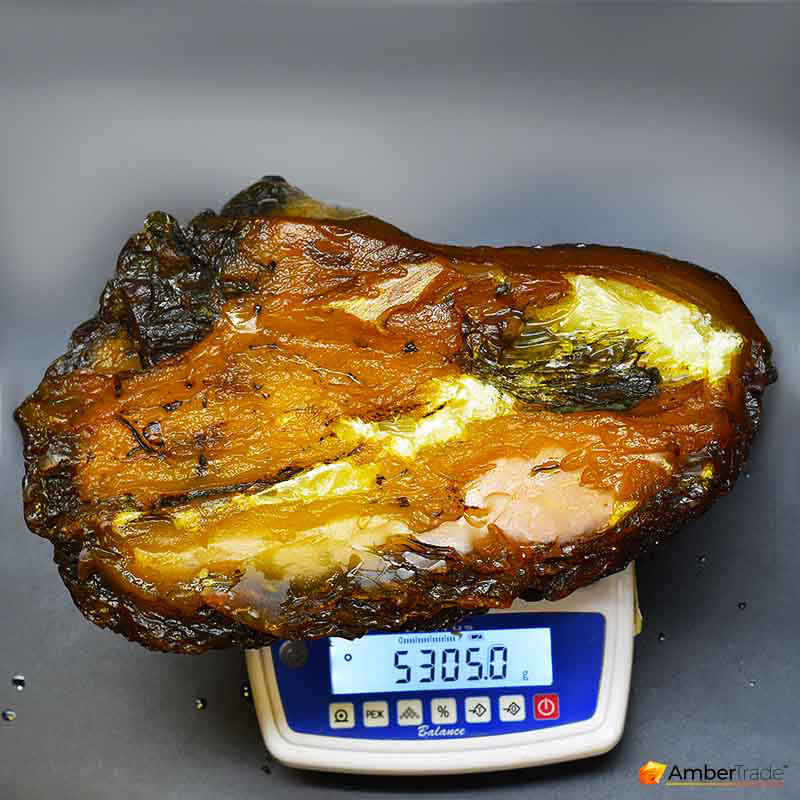 На Рівненщині знайшли 5-кілограмовий шматок бурштину